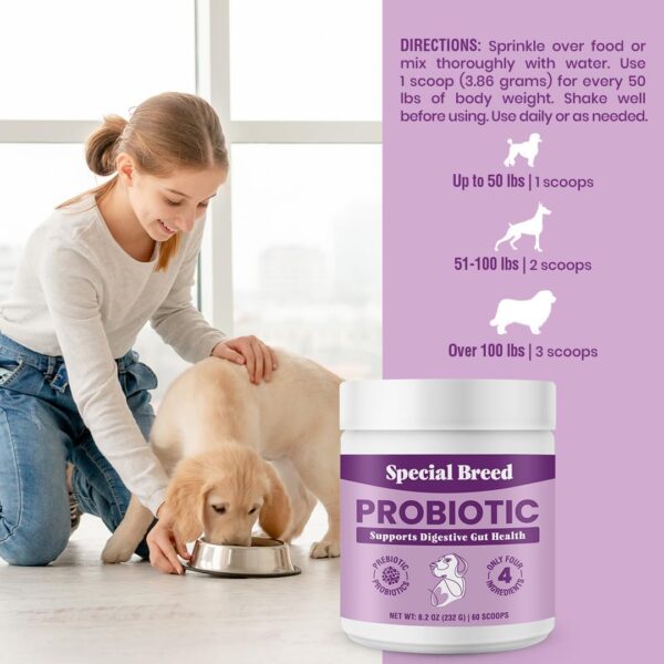 Probiotic Powder for Dogs - Probiotics Digestive Supplement with Bone Broth for Your Dog, Supports Healthy Pet Digestion, 8.2 oz - Image 7