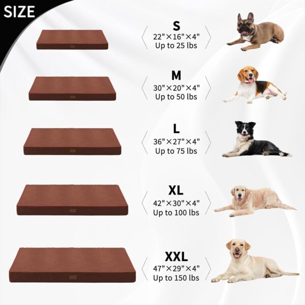 Small Dog Bed for Small Dogs - Outdoor Dog Bed Washable with Oxford Fabric Surface, Egg Crate Orthopedic Foam Pet Bed up to 25lbs with Removable Cover, Machine Washable (Brown, 22"X16"X4") - Image 2