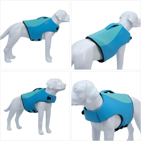 Dog Life Jacket, Sport Style Dog Float Coat with Excellent Buoyancy, Stylish Dog Swimming Safety Vest with Rescue Handle for Small Medium Large Dogs Turquoise S - Image 3