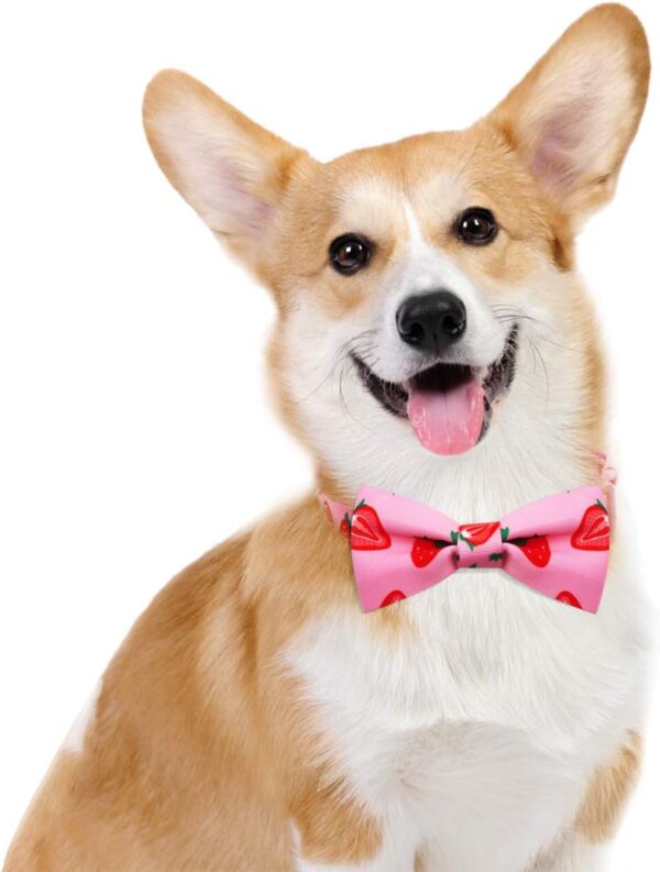 azuza Dog Collar Bow tie, Lovely Pink Strawberry Dog Collars with Bowtie for Extra Small Dogs - Image 3