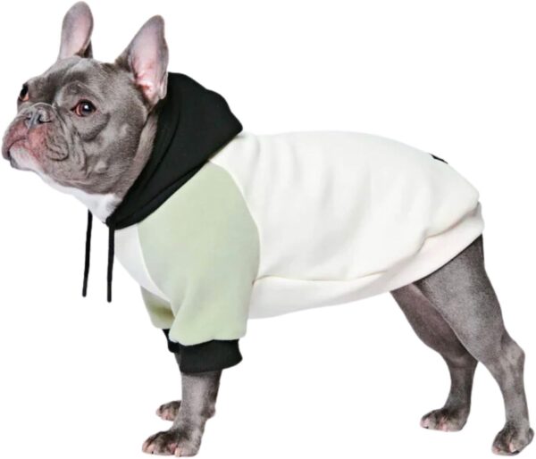 Spark Paws Dog Hoodie - Premium Quality, Buttery Soft, Superior Comfort and Fit, Calming Fleece Interior, Suitable for All Breeds - Olive Cream - 2XL