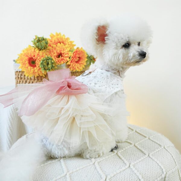 White Small Dog Wedding Dress with D-Ring, Bow knot Puppy Clothes for Small Dog Girl,Cat Birthday outfit, Pet Party Dress for Kitten Chihuahua Yorkie Pomeranian (White, Medium) - Image 3