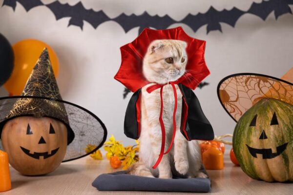 Halloween Cat Vampire Cloak Costume Halloween Adjustable Red Black Pet Cape Costume Clothes, Halloween Pet Accessories Costume Outfit Decor Cowl for Small Cats Dogs Animals Halloween Party Pet Cosplay - Image 6