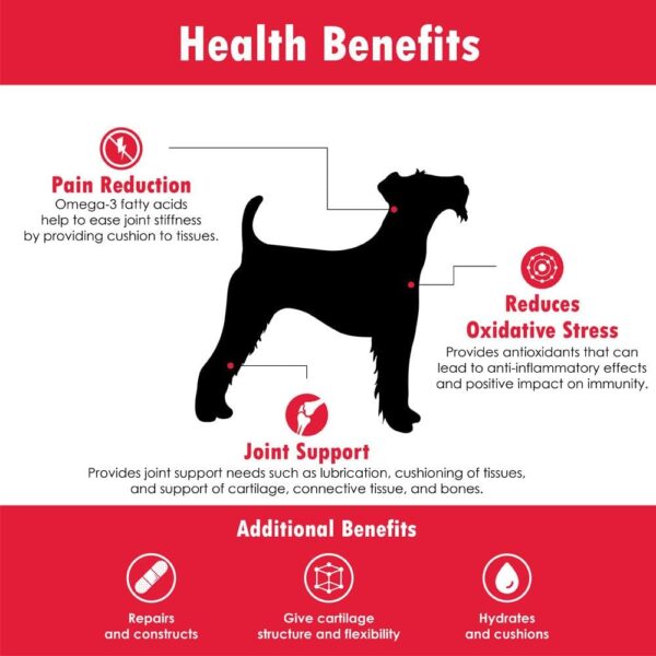 ReMATRIX Joint Support Supplement for Dogs - Glucosamine, Chondroitin, MSM, Omega-3 - Hip and Joint Pain Relief and Support for Dogs - Made in USA - 60 Soft Chews - Image 7