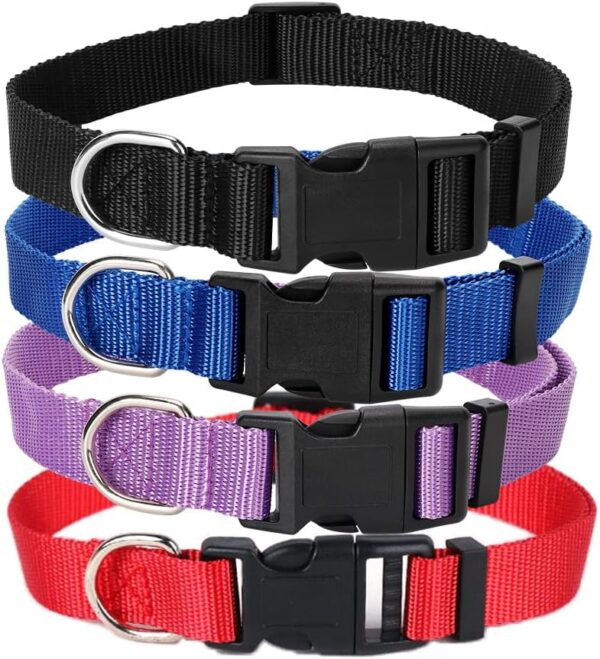 4 Pack Nylon Dog Collars, Classic Adjustable Pet Dog Collar for Small, Medium and Large Dogs, M(Black, Blue, Red, Purple)