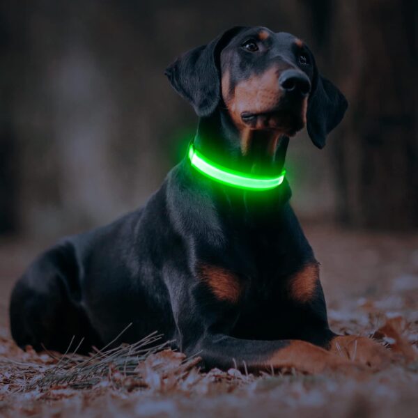 Light Up Dog Collars - USB Rechargeable LED Dog Collar, Adjustable Lighted Pet Collar, Reflective Flashing Dog Collar Lights for Night Walking (Large, Green) - Image 5