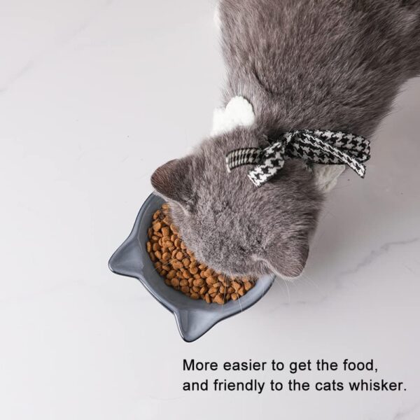 Nihow Elevated Cat/Dog Bowls: 5 Inch Ceramic Raised Cat Food & Water Bowl Set for Protecting Pet's Spine - Feeding & Watering Supplies for Pets - Elegant Gray (4.5 OZ /1 PC) - Image 5