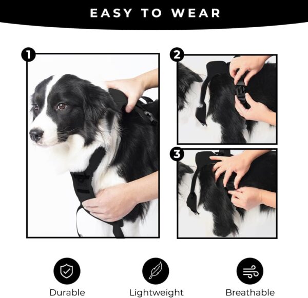 H C USA No Pull Dog Harness with Dog Leash Retractable – Adjustable Dog Harness for Large Dogs with Integrated Leash - Dog Harness and Leash Set with Anti Slip Soft Handle – Comfortable and Safe - Image 4