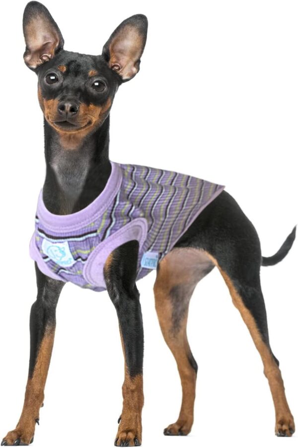 Striped Teacup Pet Dog T-Shirts, 100% Cotton Tank Vest for Small Dogs and Cats, Sleeveless Puppy Clothes for Chihuahua Yorkie Purple, 2X-Small - Image 6