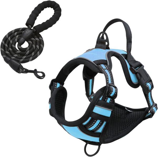 Dog Harness and Leash Set, No Pull Dog Harness with 2 Leash Clips and 3 Buckles, Adjustable Reflective Soft Padded Dog Vest with Easy Control Handle (Blue, Large) - Image 2