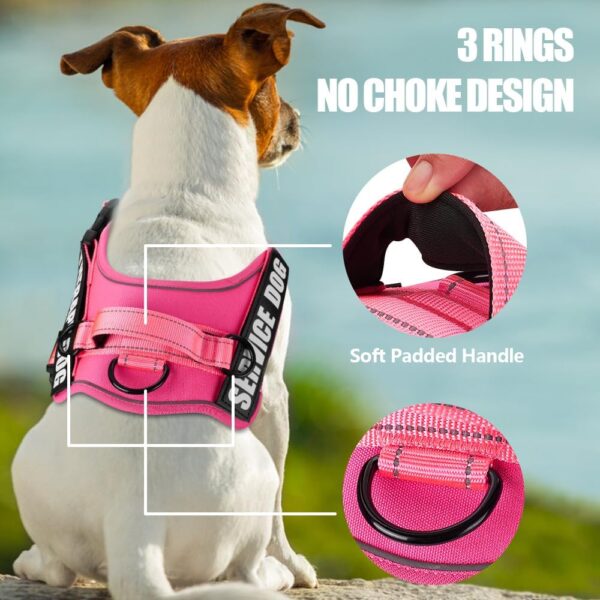 Dog Vest Harness and Leash Set, Animire Reflective Service Dog Vest with 10 Patches, 3 Rings No Choke Pet Vest for Leash Placement, in Training Dog Harness for Small Medium Large Dogs(Hot Pink,M) - Image 2