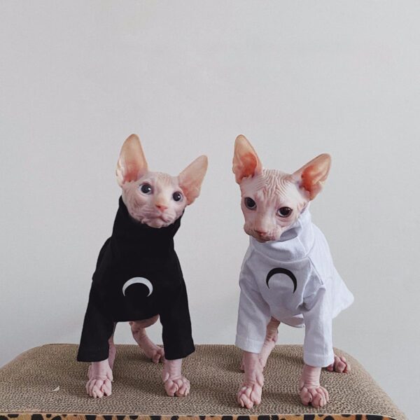 Sphynx Cat Clothes, Moon Print Turtleneck Cotton T-Shirt for Devon Rex Sphynx Cats (Black, Small) - Image 7