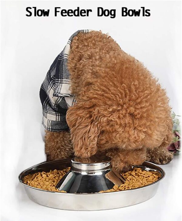 Puppy Bowls 2 Puppy Dish Dog Bowl Puppy Weaning Puppy Feeder Bowl Puppy Supplies Pets Feeder - Image 7