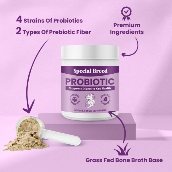 Probiotic Powder for Dogs - Probiotics Digestive Supplement with Bone Broth for Your Dog, Supports Healthy Pet Digestion, 8.2 oz - Image 2