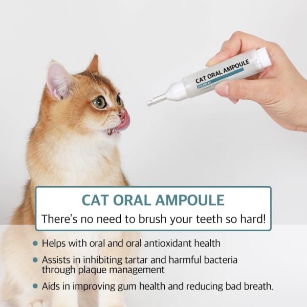 Cat Oral Ampoule for Cats Enzymatic Dental Care for Cats and Kittens - Brushless Toothpaste for Reduces Bad Breath and Control Tartar and Plaque - 0.338 Floz (10ml) (0.3 oz - 1 Count) - Image 3