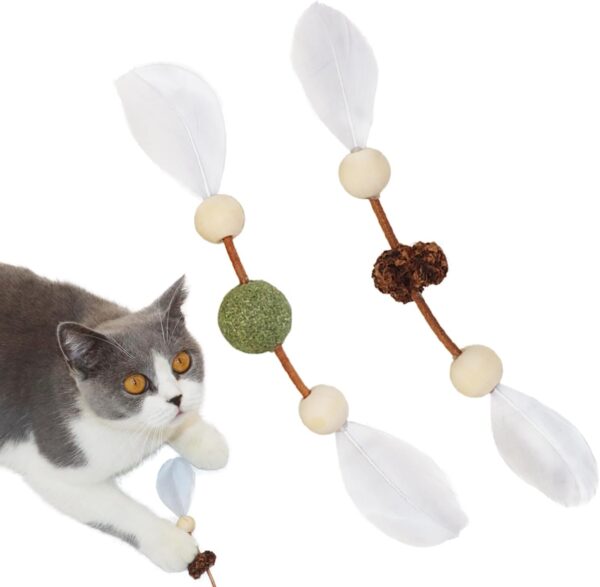 Cat Toys Catnip Silvervine Fruit Feather Toy,Chew and Molar Toys for cats,Used to let cats Play,Relieve Anxiety,Soothe Mood,Clean Teeth,100% Natural,2PCS