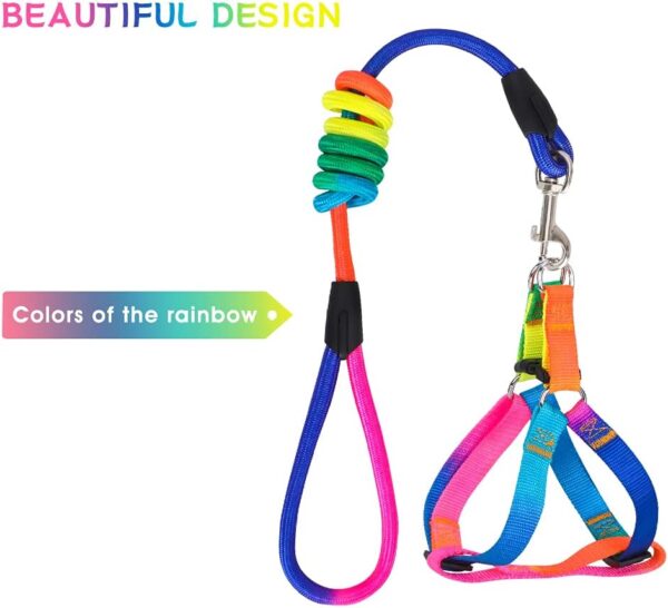 PetsHome Dog Harness & Leash Set Adjustable No Pull Safe Nylon Pet Harness with Leash for Outdoor Walking for Dogs Small Rainbow - Image 5