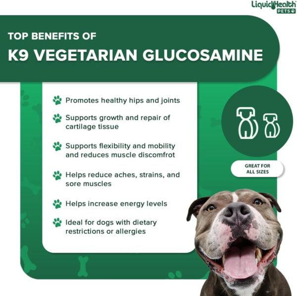 LIQUIDHEALTH 32 Oz K9 Vegetarian Liquid Glucosamine for All Dogs Canines - Chondroitin, MSM, Omega 3, Anti Oxidants Hyaluronic Acid – Joint Health, Dog Vitamins Hip Joint Juice, Joint Oil - Image 3