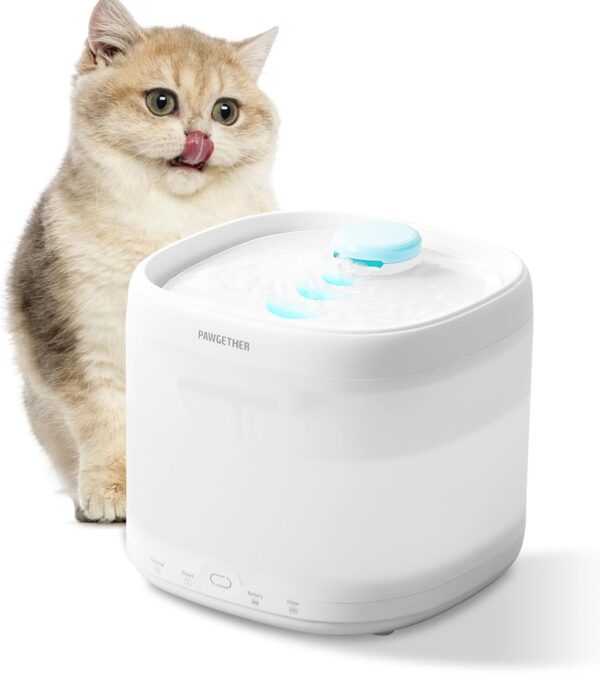 Cat Water Fountain with Wireless Pump, Ultra Quiet 67oz/2L Automatic Pet Water Fountain for Cats and Dogs with Replacement Filter Dog Water Dispenser