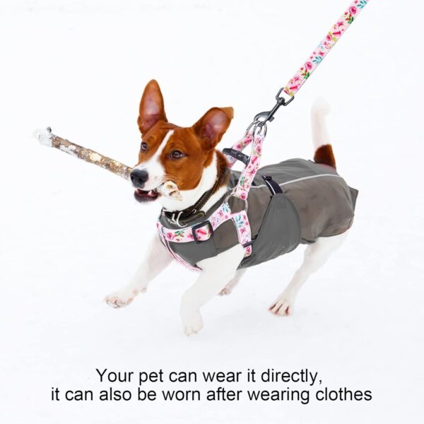 BEAUTYZOO No Pull Small Dog Harness and Leash Set, No Chock Puppy Step in Vest Harness Nylon Lightweight Neck&Chest Adjustable for Dogs Girls and Boy, Pet Harness for Small Medium Dogs - Image 7