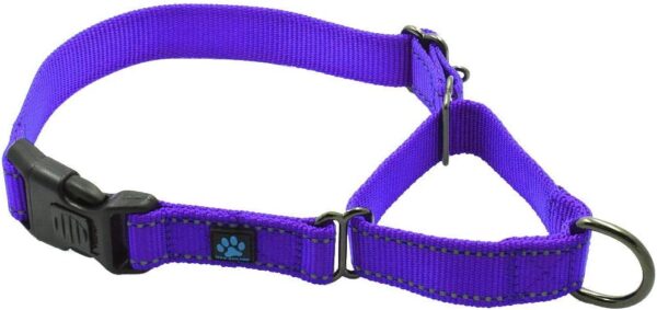 Max and Neo Nylon Martingale Collar - We Donate a Collar to a Dog Rescue for Every Collar Sold (LARGE, PURPLE)