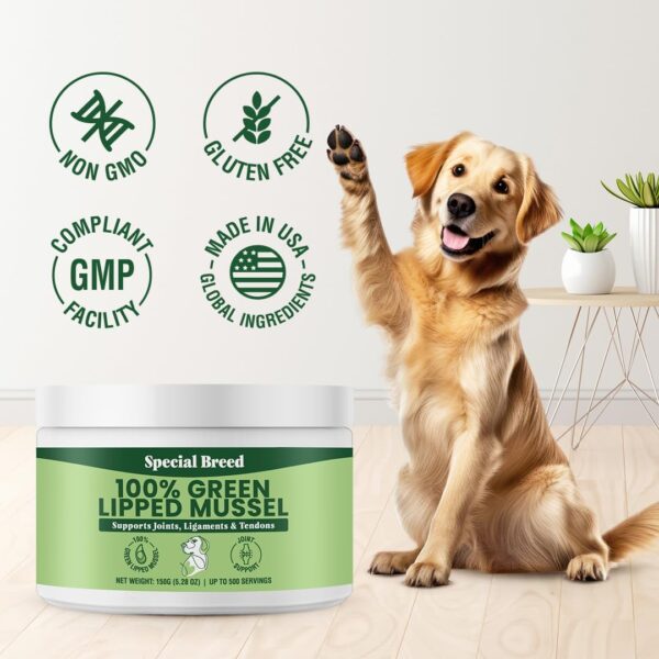 Green Lipped Mussels for Dogs & Cats - Premium Joint Supplement Powder for HIPS, Joints, and Muscles (150 Grams, Up to 500 Servings) - Image 4