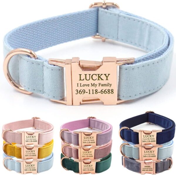 PETDURO Custom Dog Collar Personalized with Name Engraved Quick Release Rose Gold Metal Buckle for Large Medium Small Girl Dogs - Dog Leash and Bow Tie Available - Soft Comfy Velvet (Light Blue, S)