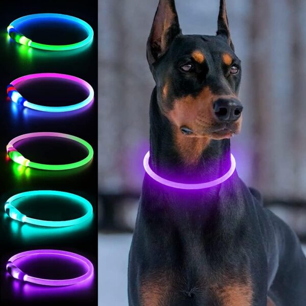 Light Up Dog Collars, Single-Color USB Rechargeable Dlitk LED Dog Collar 1 Count, TPU Cuttable Size Glow Collar for Dogs, Dog Collar Light for Large Medium Small Dogs Walking at Night (Purple)