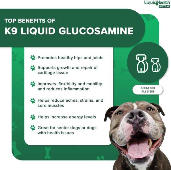 LIQUIDHEALTH 128 Oz K9 Liquid Glucosamine for Dogs, Puppies and Seniors - Chondroitin, MSM, Hyaluronic Acid – Dog Hip and Joint Health, Dog Vitamins for Dog Joint Pain, Dog Joint Oil - 1 Gallon - Image 3