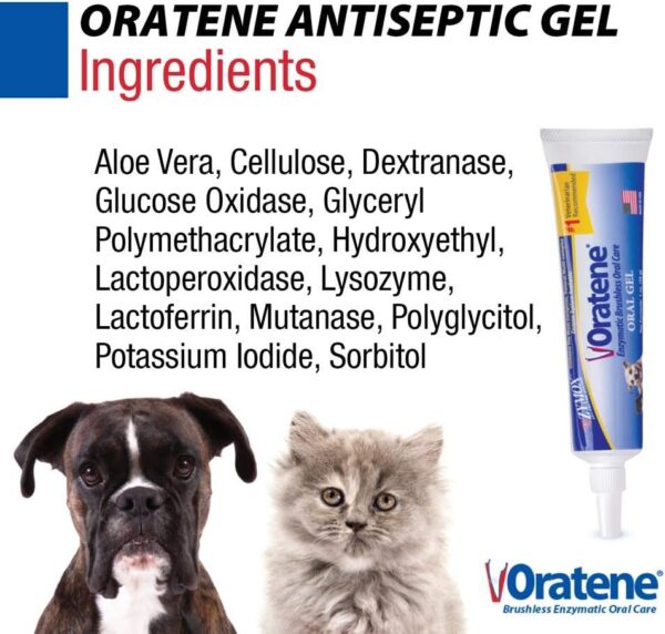 Pet King Brands ZYMOX Oratene Brushless Oral Gel for Dogs and Cats, 1oz - Image 4