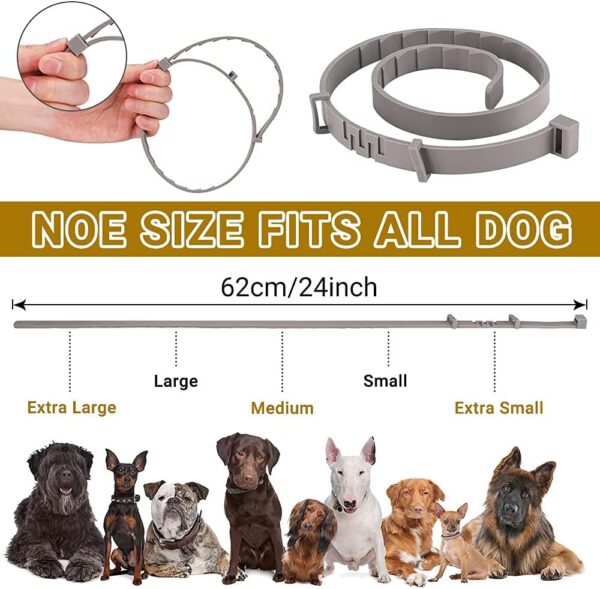 Flea Collar for Dogs 2 Pack Natural Flea and Tick Collar for Dogs 8 Month Prevention Puppys Collars 24 Inch Adjustable Large Collars - Image 5