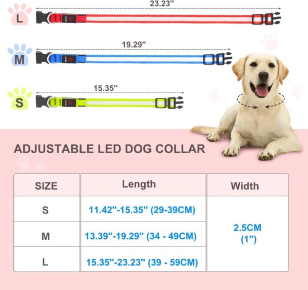 Light Up Dog Collars DQGHQME Led Dog Collar USB Rechargeable Safety Lighted Dog Collar for Small Medium Large Dogs，Flashing Lights for Dog Walking at Night Glow in The Dark Camping Dog Collars. - Image 6