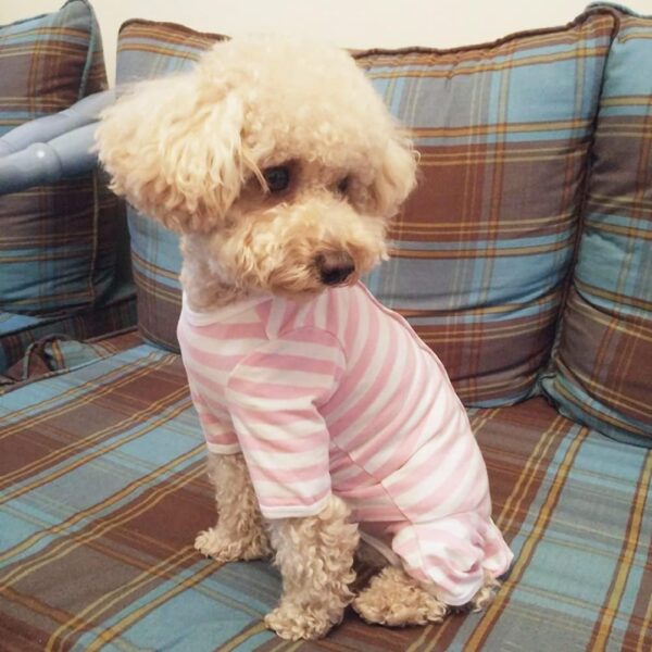 Dog’s Recovery Suit Post Surgery Shirt for Puppy, Full Coverage Dog's Bodysuit Wound Protective Surgical Clothes for Small and Medium Pets (pink white stripe-m) - Image 6