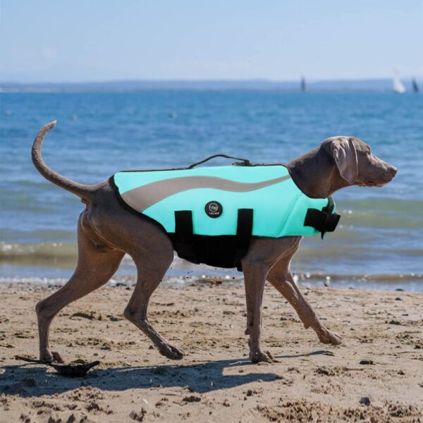 EMUST Dog Life Vests, Adjustable Dog life jackets for Small Dogs with Enhanced Buoyancy, Small Dog Swim Vest with Durable Rescue Handle, Turquoise,XS - Image 6