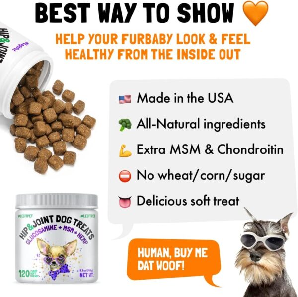 Hemp Hip & Joint Supplement for Dogs 120 Soft Chews Made in USA Functional Glucosamine for Dogs Chondroitin MSM Turmeric Hemp Seed Oil Natural Pain Relief Mobility Advanced Joint Health For All Breeds - Image 5