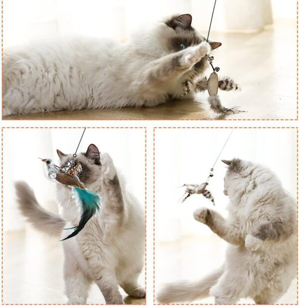 Cat Feather Toys Automatic Interactive Cat Toys Natural Bird Feather Ball Toys Suction Cup Pet Chase Movement Playing Toy Exercise cat Toys 7 Pcs Cat Toy Set for Indoor Bored Cats Gifts - Image 5