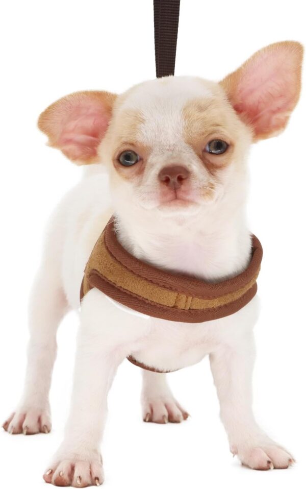 LOPHIPETS Lightweight Dog Harness with Leash Set for Small dogs Chihuahua Yorkie Puppy Cat-Coffee/XS - Image 2