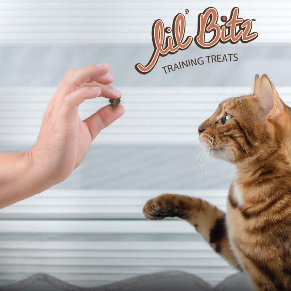 Lil' Bitz training Treats for Cats (3 Pack, All Cat Sizes - Salmon & Liver) - Image 2