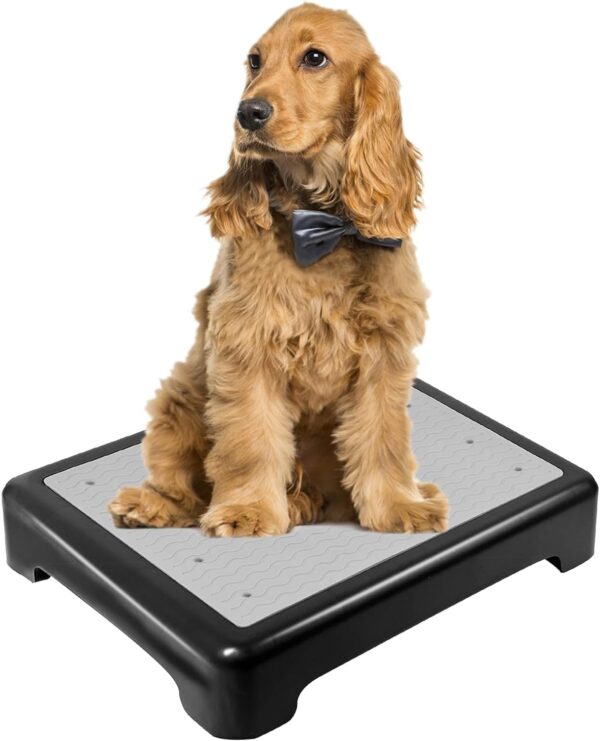 Dog Training Place Board with Non-Skid Surface, Dog Platform for Training, Portable Dog Agility Platform，Dog Training Stand, Dog Training Equipment Suitable for Small, Medium Dogs