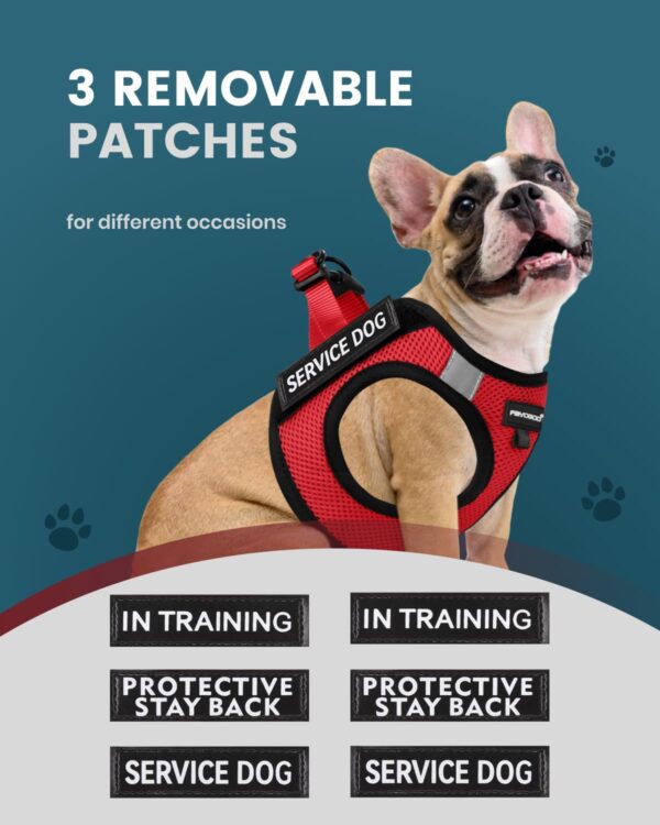 FAYOGOO Service Dog Vest for Small Breed - Lightweight Dog Harness with 6PCS Removable Patches - Puppy Harness and Leash Set for Walking,Training - Image 3