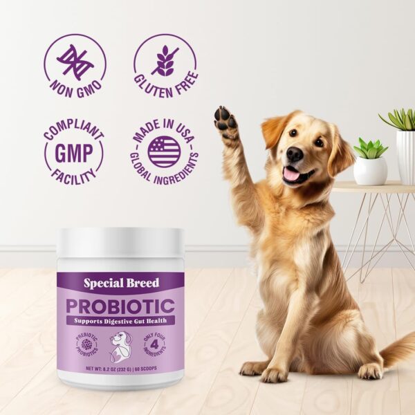 Probiotic Powder for Dogs - Probiotics Digestive Supplement with Bone Broth for Your Dog, Supports Healthy Pet Digestion, 8.2 oz - Image 4