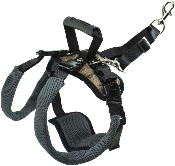 PetSafe CareLift Rear Support Harness - Lifting Aid with Handle and Shoulder Strap - Great for Pet Mobility and Older Dogs - Comfortable, Breathable Material - Easy to Adjust - Medium, Black - Image 3