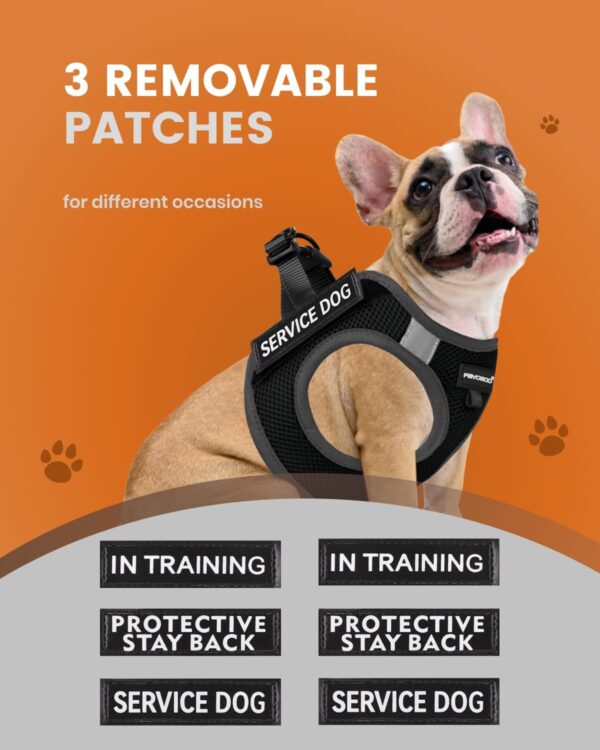 FAYOGOO Service Dog Vest for Small Breed - Lightweight Dog Harness with 6PCS Removable Patches - Puppy Harness and Leash Set for Walking,Training - Image 3