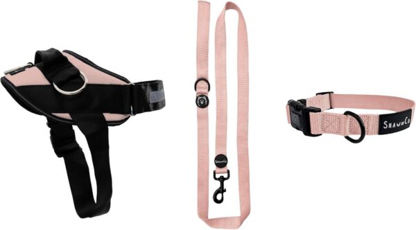 ShawnCo Essential Harness, Leash & Collar Set (Rose Gold, S)