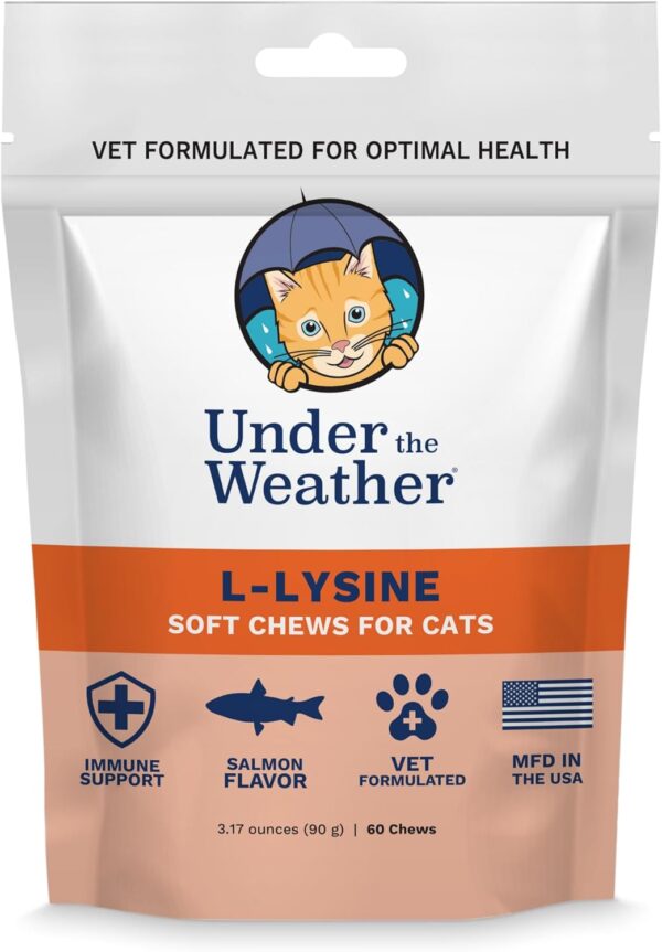 Under the Weather Pet Daily Cat L-Lysine | Boost Immune System Reduce Respiratory Symptoms | Maintain Normal Immune System Response | 60 Star Shaped Soft Chews