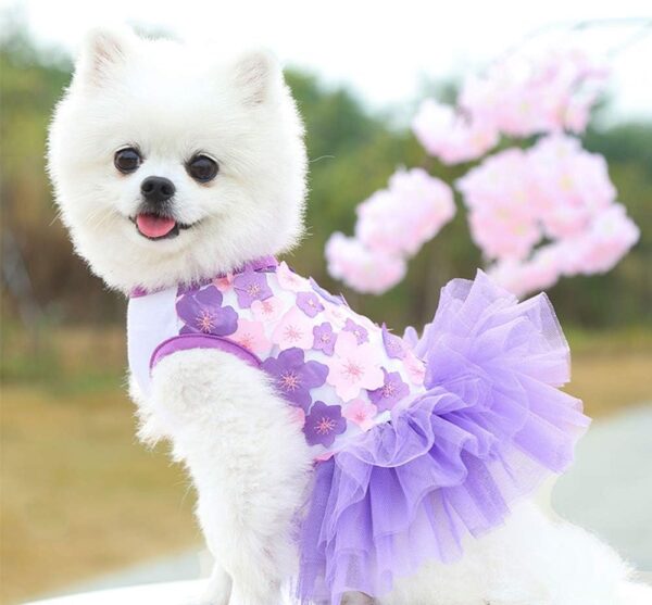 Sebaoyu Dog Dresses for Small Dogs Girl 3 Pack Summer Puppy Clothes Outfit Apparel Female Cute Cat Skirt Pup Tutu Pink Yorkie Clothing Breathable Pet Dress for French Bulldog Chihuahua (AA, X-Small) - Image 7