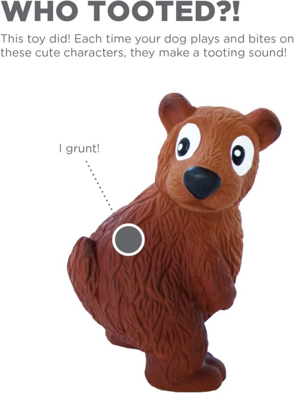 Outward Hound Tootiez Bear Grunting Latex Rubber Dog Toy, Small - Image 2