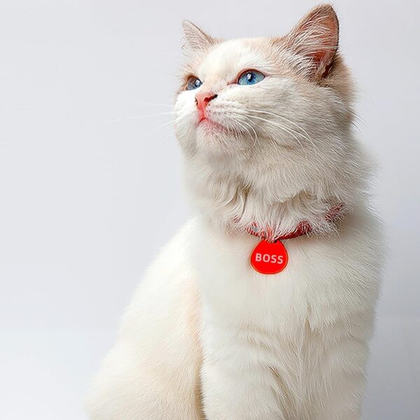 High Elasticity Cat Collar Only 0.18oz(5g). Using Aviation Aluminum ，Simple and Lightweight (Sky Blue) - Image 6