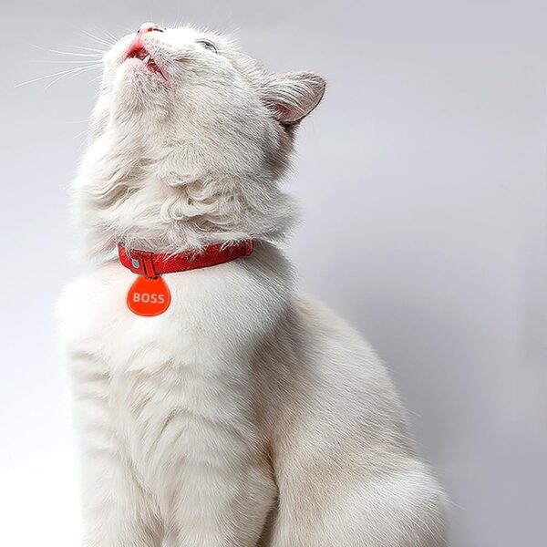 High Elasticity Cat Collar Only 0.18oz(5g). Using Aviation Aluminum ，Simple and Lightweight (Sky Blue) - Image 5