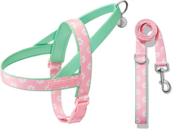 VETRESKA No Pull Dog Harness and Leash Set for Small Medium Large Dogs, Adjustable Soft Padded, Easy Control, Easy Walk and Anti-Twist Pet Lead Combo (Pink & Green,XS)